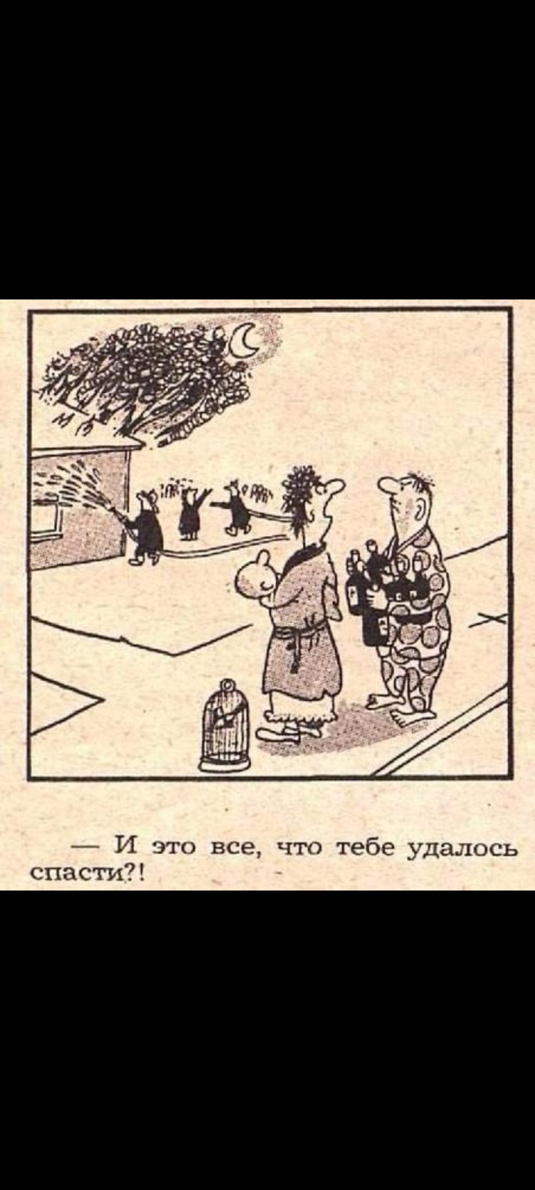— И это все, что тебе удалось спастись?!