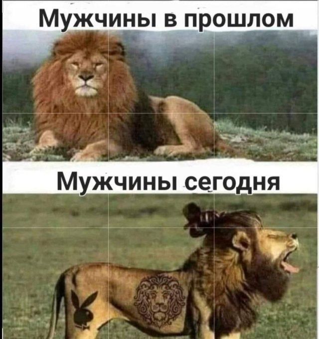 Мужчины в прошлом
Мужчины сегодня