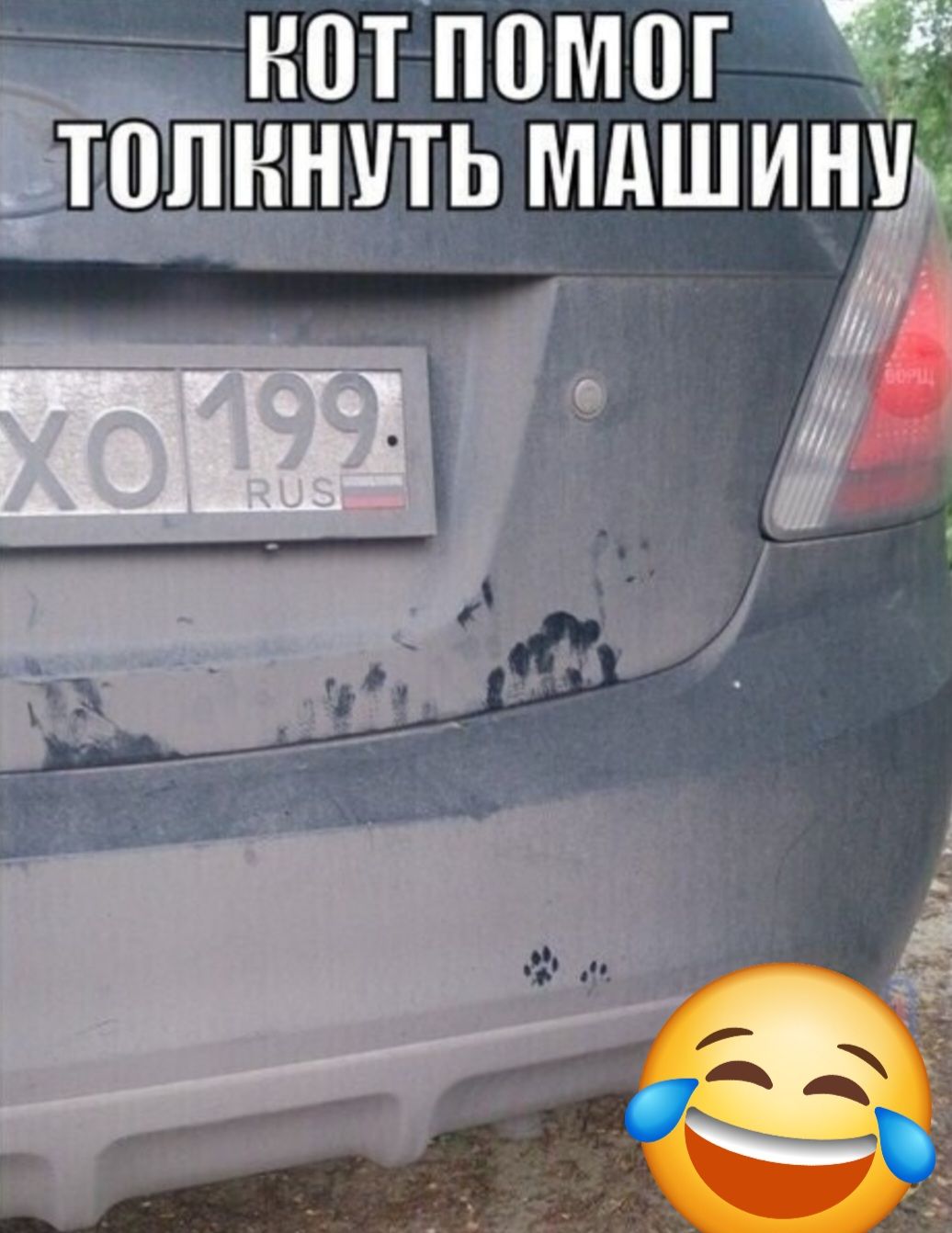 КОТ ПОМОГ ТОЛКНУТЬ МАШИНУ
XO 199 RUS