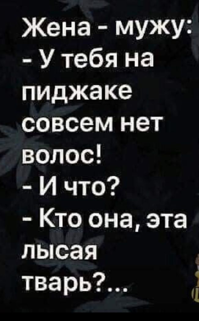 Жена - мужу:\n- У тебя на пиджаке совсем нет волос!\n- И что?\n- Кто она, эта лысая тварь?...