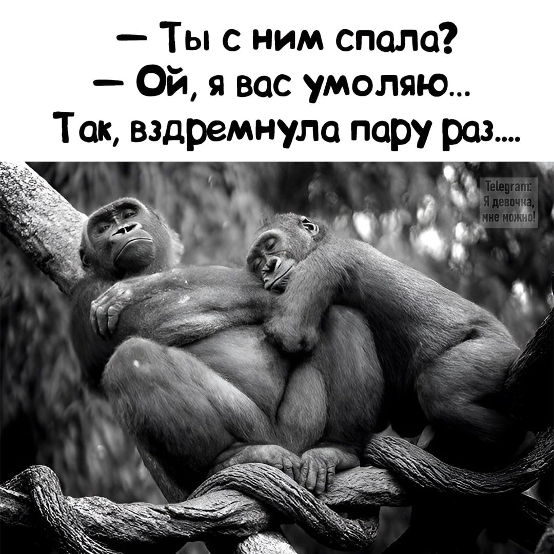 - Ты с ним спала? - Ой, я вас умоляю... Так, вздремнула пару раз....