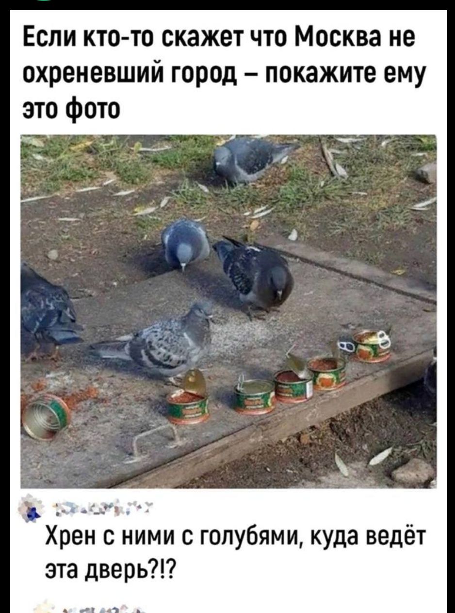 Если кто-то скажет что Москва не охреневший город – покажите ему это фото. Хрен с ними с голубями, куда ведёт эта дверь?!