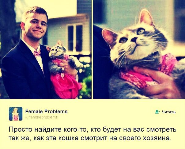 Female Problems
femalproblems

Просто найдите кого-то, кто будет на вас смотреть так же, как эта кошка смотрит на своего хозяина.