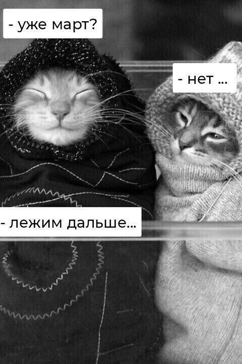 - уже март?
- нет ...
- лежим дальше...