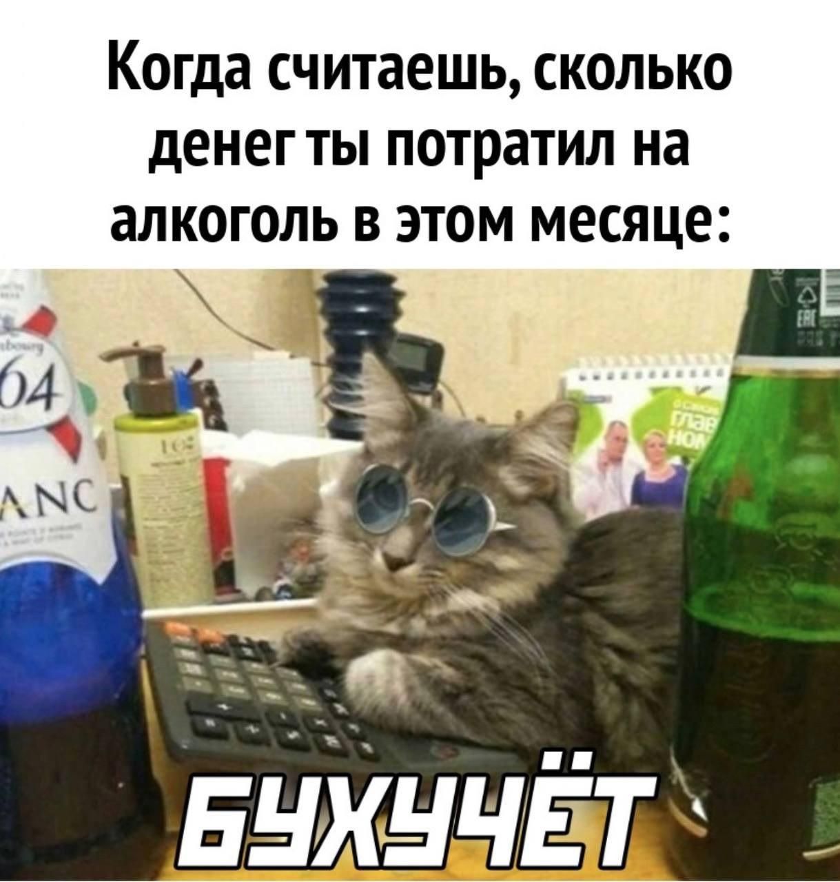 Когда считаешь, сколько денег ты потратил на алкоголь в этом месяце: Бухучёт