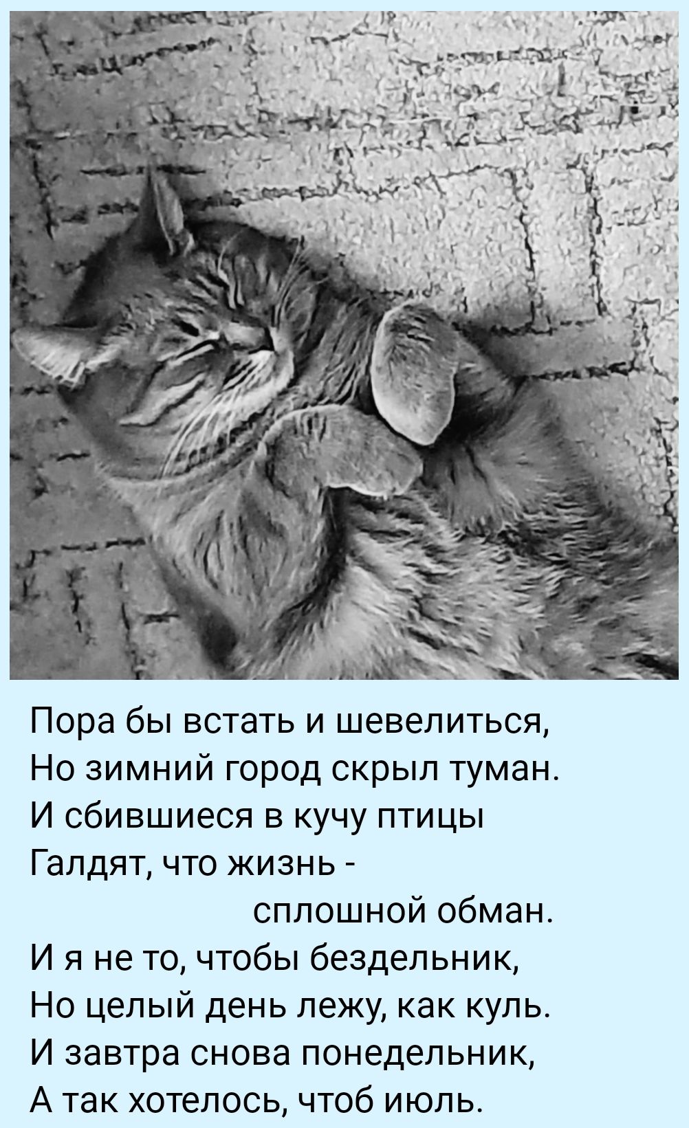 Пора бы встать и шевелиться,
Но зимний город скрыл туман.
И сбившиеся в кучу птицы
Галдят, что жизнь -
сплошной обман.
И я не тот, чтобы бездельник,
Но целый день лежу, как куль.
И завтра снова понеделник,
А так хотелось, чтоб июль.