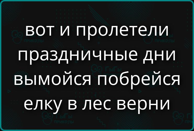 Вот и пролетели праздничные дни вымойся побрейся елку в лес верни