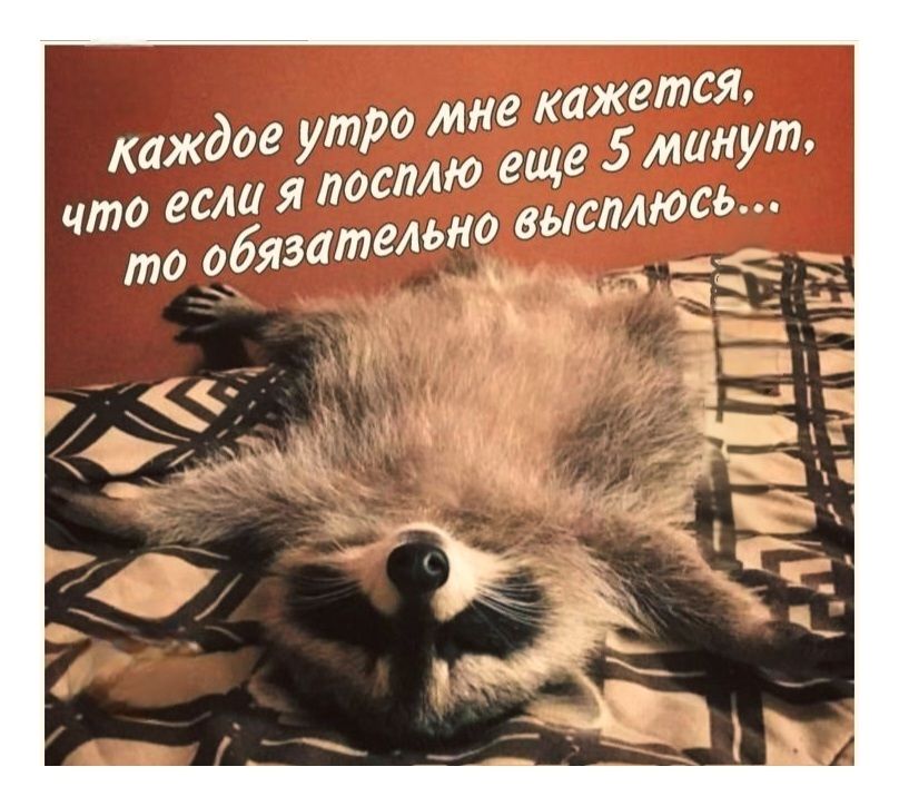 каждое утро мне кажется, что если я посплю еще 5 минут, то обязательно высплюсь...