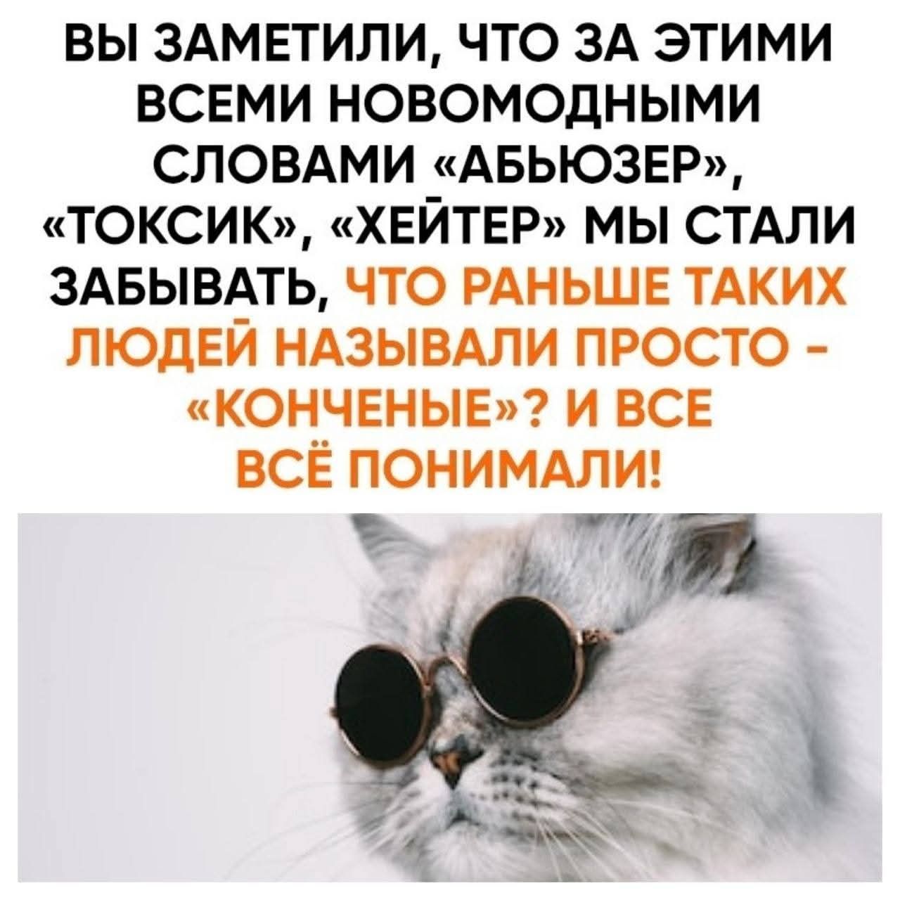 ВЫ ЗАМЕТИЛИ, ЧТО ЗА ЭТИМИ ВСЕМИ НОВОМОДНЫМИ СЛОВАМИ «АБЬЮЗЕР», «ТОКСИК», «ХЕЙТЕР» МЫ СТАЛИ ЗАБЫВАТЬ, ЧТО РАНЬШЕ ТАКИХ ЛЮДЕЙ НАЗЫВАЛИ ПРОСТО - «КОНЧЕННЫЕ»? И ВСЕ ВСЁ ПОНИМАЛИ!
