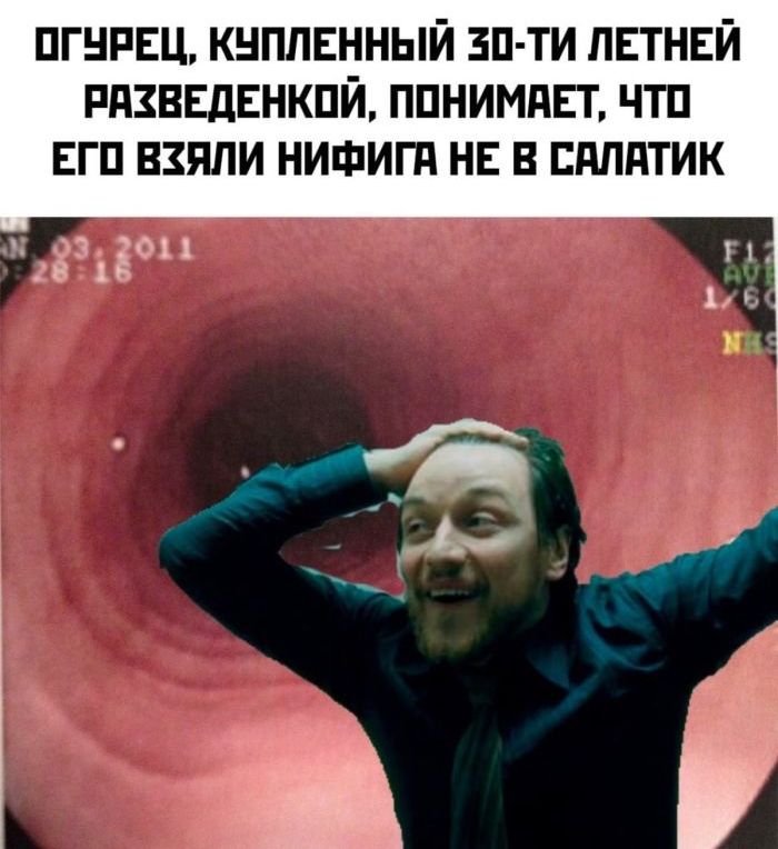 ОГУРЕЦ, КУПЛЕННЫЙ ЗО-ТИ ЛЕТНЕЙ РАЗВЕДЕНКИ, ПОНИМАЕТ, ЧТО ЕГО ВЗЯЛИ НИФИГА НЕ В САЛАТИК