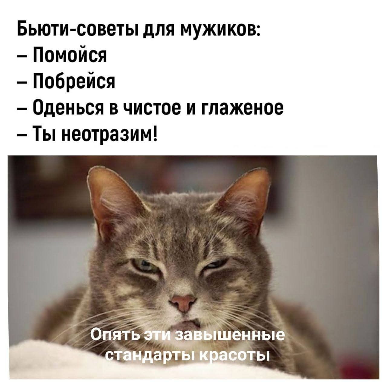 БЬЮТИ-СОВЕТЫ ДЛЯ МУЖИКОВ:
- Помойся
- Побрейся
- ОДЕНЬСЯ В ЧИСТОЕ И ГЛАЖЕНОЕ
- ТЫ НЕОТРАЗИМ!

Опять эти завышенные стандарты красоты