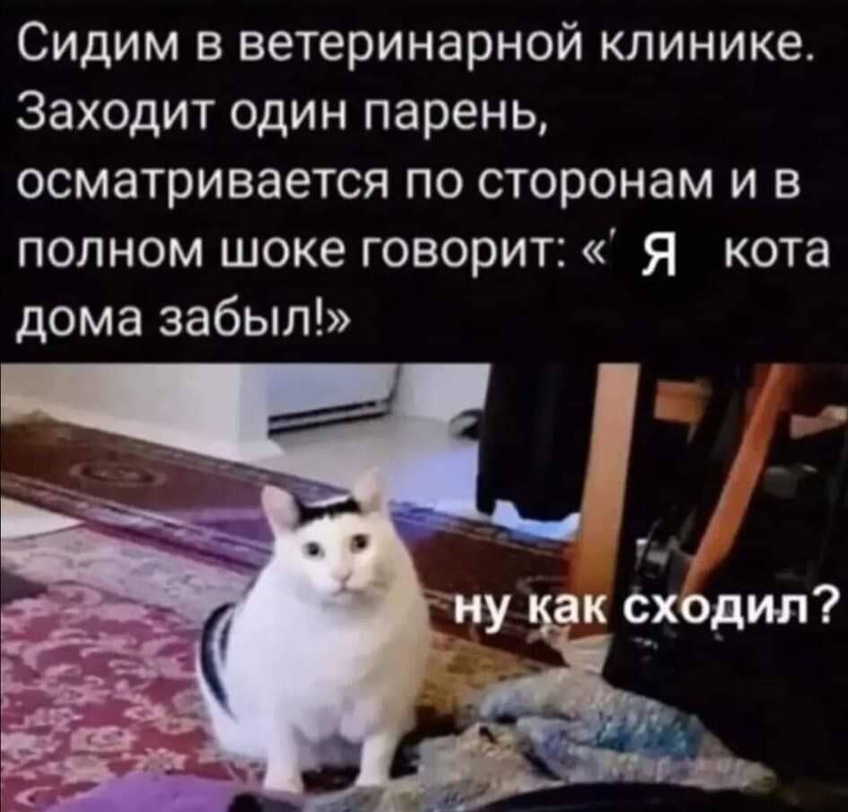 Сидим в ветеринарной клинике. Заходит один парень, осматривается по сторонам и в полном шоке говорит: « Я кота дома забыл!»
ну как сходил?