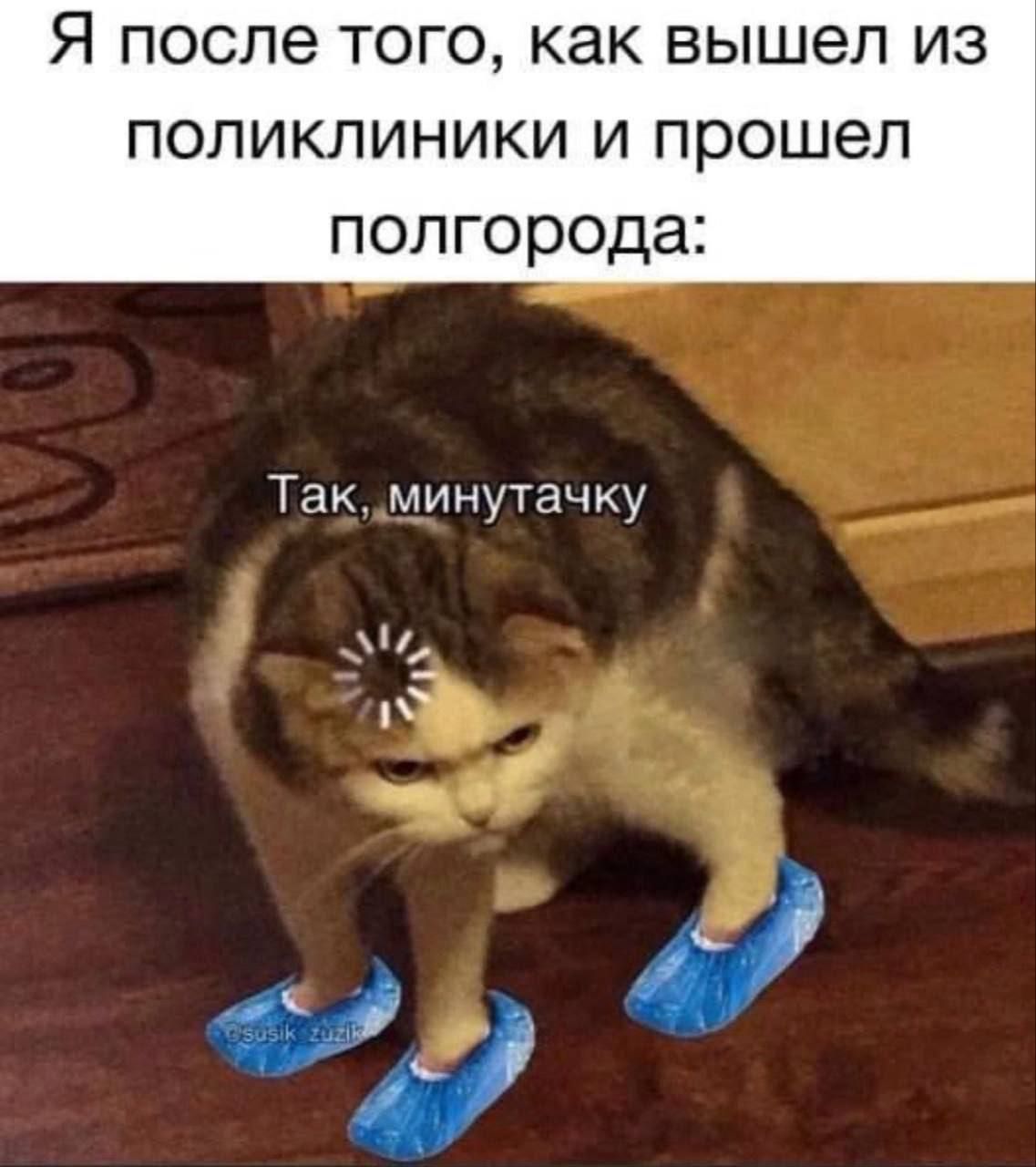 Я после того, как вышел из поликлиники и прошел полгода:
Так, минуточку