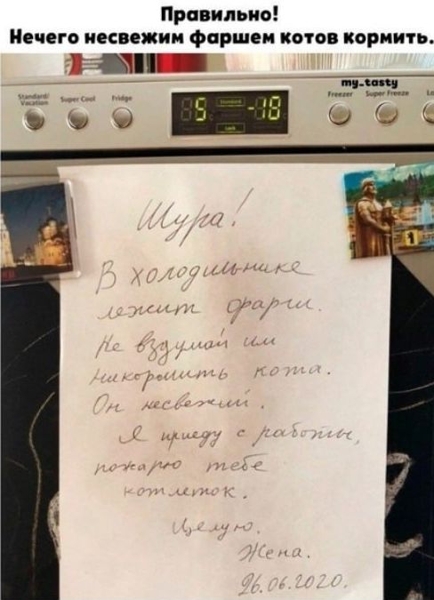 Правильно! Нечего несвежим фаршем котов кормить.
Шура!
В холодильнике лежит фарш.
Не вздумай никому кормить кота.
Он несвежий.
Я приду с работы, покажу тебе котёнка.
Целую.
Жена
26.06.2020.