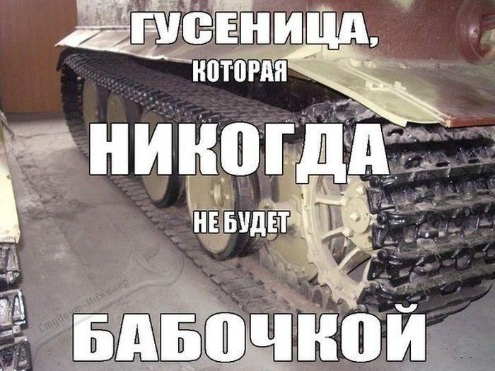 ГУСЕНИЦА, КОТОРАЯ НИКОГДА НЕ БУДЕТ БАБОЧКОЙ
