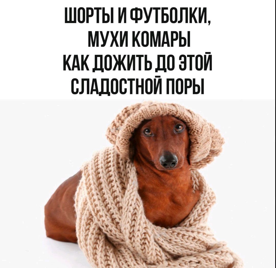 Шорты и футболки, мухи комары как дожить до этой сладостной поры