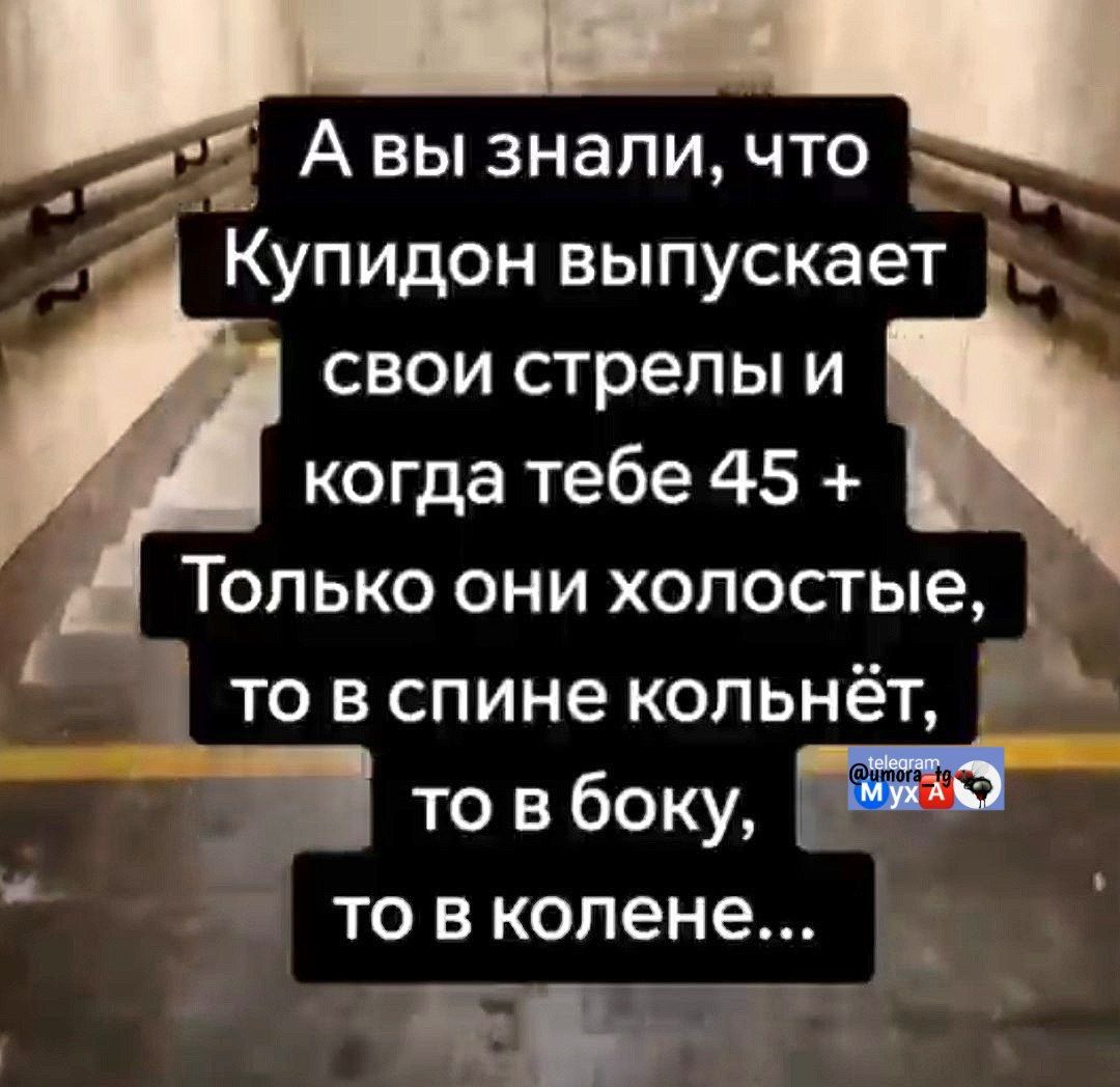 А вы знали, что Купидон выпускает свои стрелы и когда тебе 45 + Только они холостые, то в спине колёт, то в бокy, то в колене...