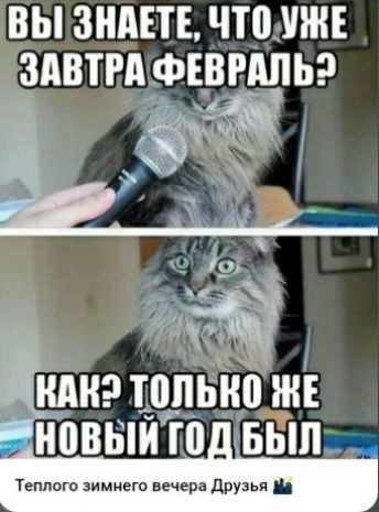 ВЫ ЗНАЕТЕ, ЧТО УЖЕ ЗАВТРА ФЕВРАЛЬ?
КАК ТОЛЬКО ЖЕ НОВЫЙ ГОД БЫЛ
Теплого зимнего вечера Друзья