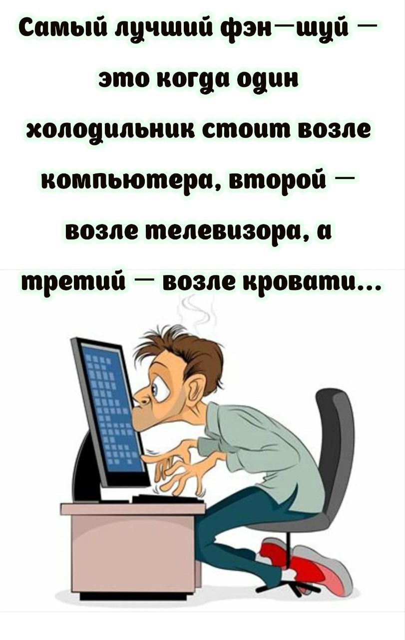 Самый лучший фэн-шуй — это когда один холодильник стоит возле компьютера, второй — возле телевизора, а третий — возле кровати…