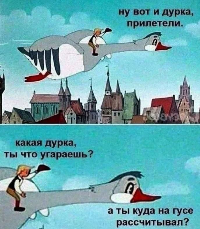 ну вот и дурка, прилетели. какая дура, ты что угараешь? а ты куда на гусе рассчитывал?