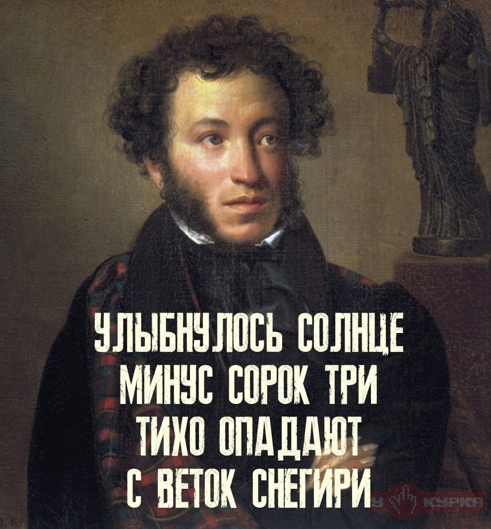 Улыбнулось солнце — минус сорок три — тихо опадают с веток снегири