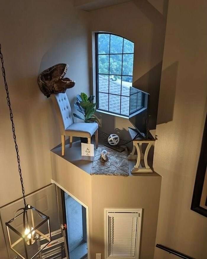 Dinosaur head wall mount, a tufted chair, a small table, a plant, a rug, a television on a small stand, a window behind.