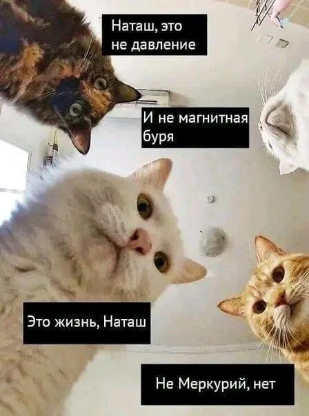 Наташ, это не давление
И не магнитная буря
Это жизнь, Наташ
Не Меркурий, нет