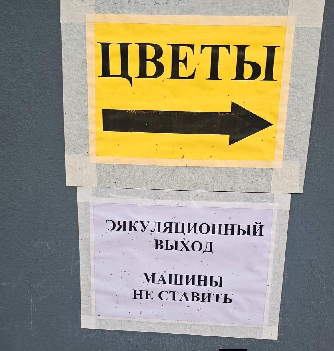 ЦВЕТЫ
→
ЭЯКУЛЯЦИОННЫЙ
ВЫХОД
МАШИНЫ НЕ СТАВИТЬ