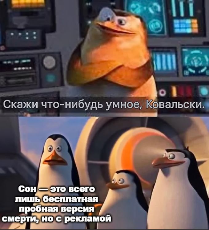Скажи что-нибудь умное, Ковальски.\nСон — это всего лишь бесплатная пробная версия смерти, но с рекламой