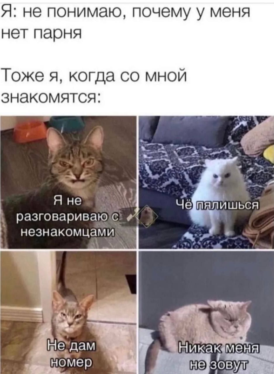 Я: не понимаю, почему у меня нет парня
Тоже я, когда со мной знакомятся:
Я не разговариваю с незнакомцами
Чё пялишься
Не дам номер
Никак меня не зовут