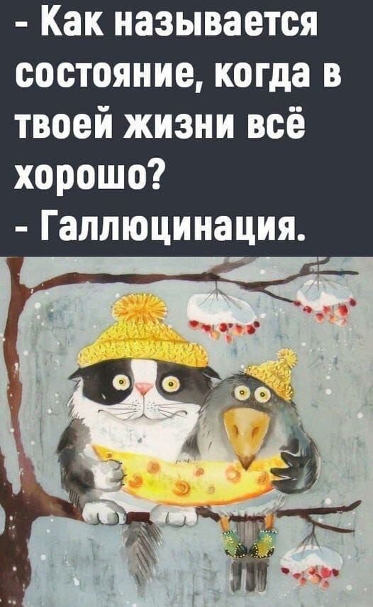 - Как называется состояние, когда в твоей жизни всё хорошо?
- Галлюцинация.