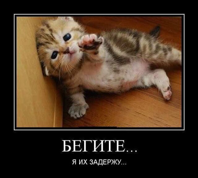 БЕГИТЕ...\nЯ ИХ ЗАДЕРЖУ...
