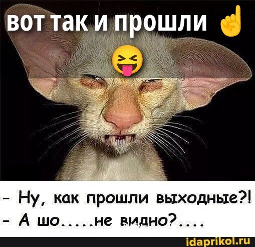 ВОТ ТАК И ПРОШЛИ
- Ну, как прошли выходные?!
- А шо.....не видно?.....