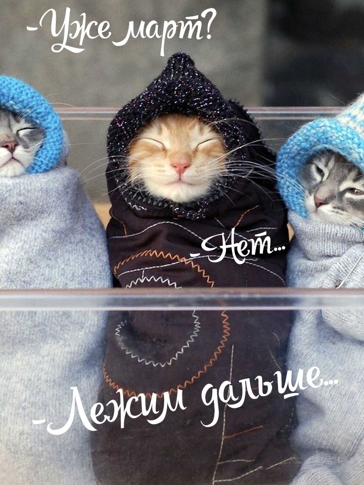 Уже март?
Нет...
Лежим дальше...