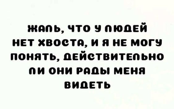 ЖАЛЬ, ЧТО У ЛЮДЕЙ НЕТ ХВОСТА, И Я НЕ МОГУ ПОНЯТЬ, ДЕЙСТВИТЕЛЬНО ЛИ ОНИ РАДЫ МЕНЯ ВИДЕТЬ