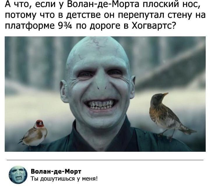 А что, если у Волан-де-Морта плоский нос, потому что в детстве он перепутал стену на платформе 9¾ по дороге в Хогвартс?

Волан-де-Морт Ты дошутишь у меня!