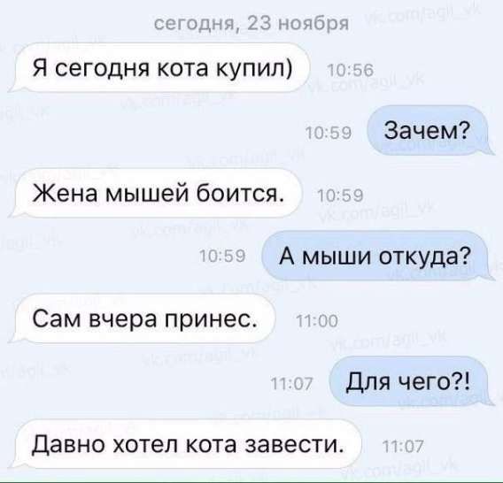 Я сегодня кота купил. Зачем? Жена мышей боится. А мыши откуда? Сам вчера принес. Для чего?! Давно хотел кота завести.