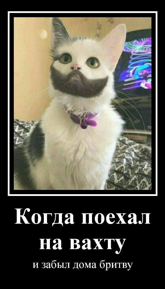 Когда поехал на вахту
и забыл дома бритву