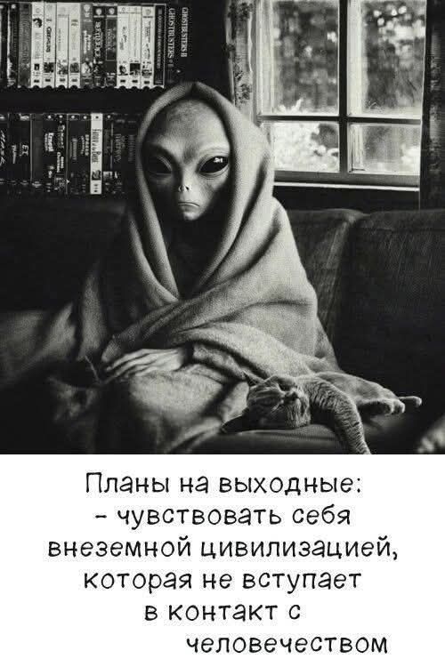 Планы на выходные:
- чувствовать себя внеземной цивилизацией, которая не вступает в контакт с человечеством