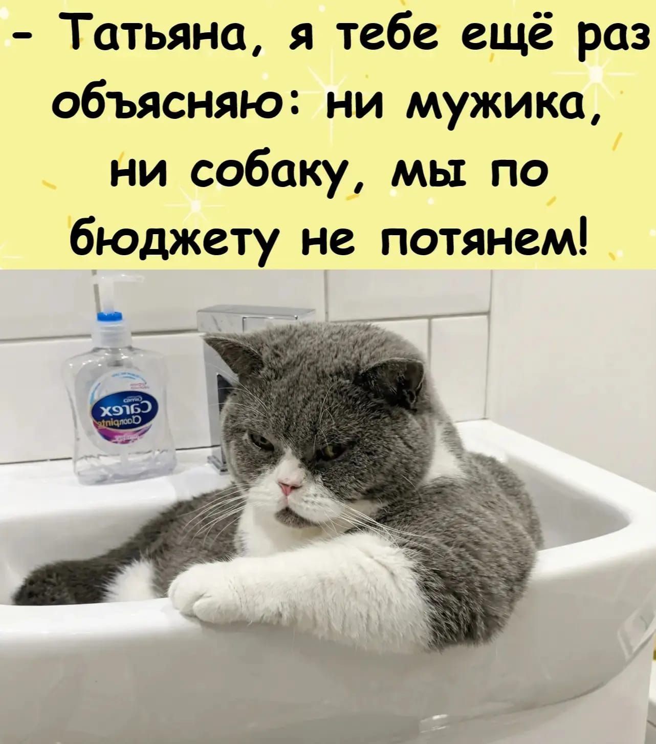 - Татьяна, я тебе ещё раз объясняю: ни мужика, ни собаку, мы по бюджету не потянем!