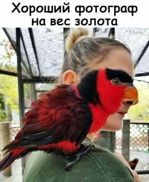 Хороший fotógrafo на вес золота
