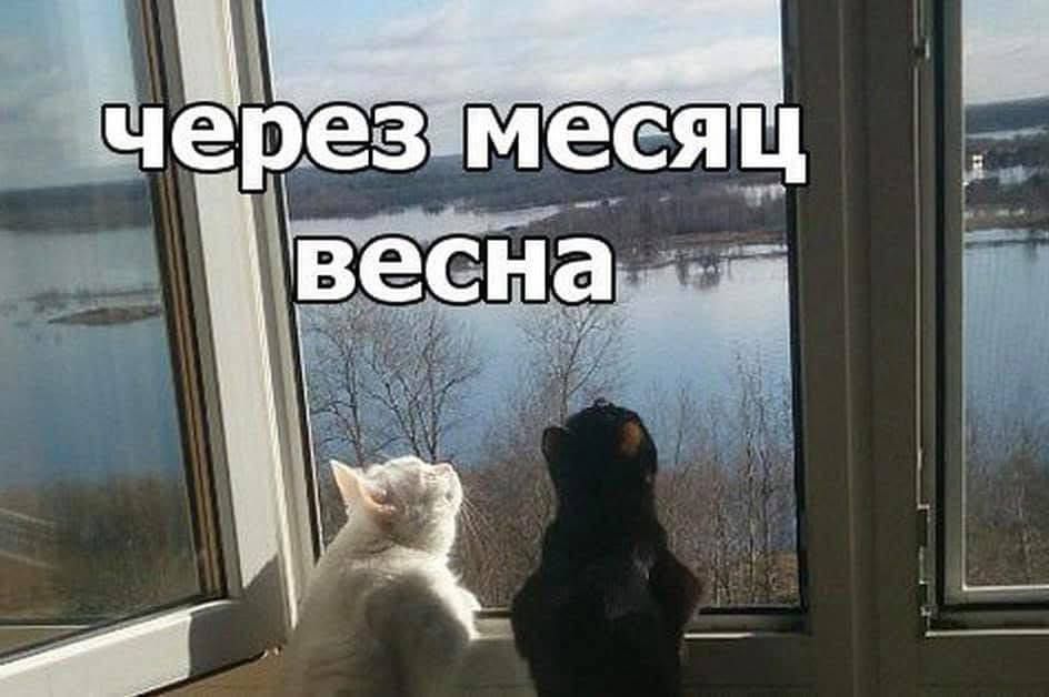 через месяц весна