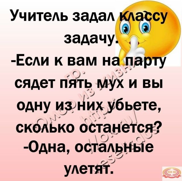 Учитель задал классу задачу. -Если к вам на парту сядет пять мух и вы одну из них убьете, сколько останется? -Одна, остальные улетят.