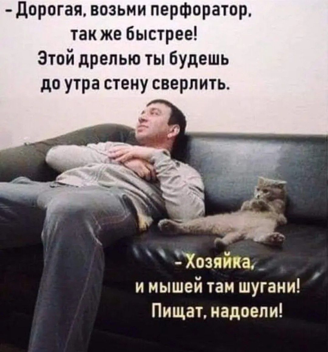 - Дорогая, возьми перфоратор, так же быстрее! Этой дрелью ты будешь до утра стену сверлить.
- Хозяйка, и мышей там шугаи! Пищат, надоели!