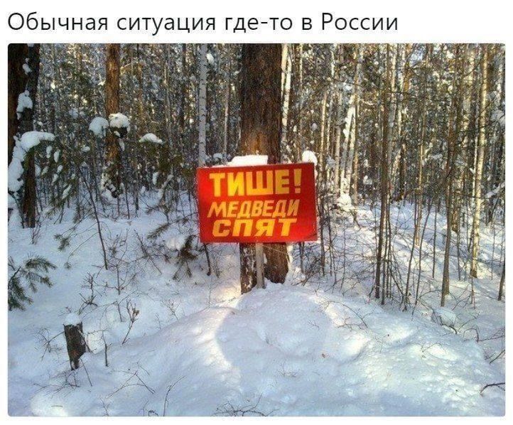 Обычная ситуация где-то в России ТИШЕ! МЕДВЕДИ СПЯТ