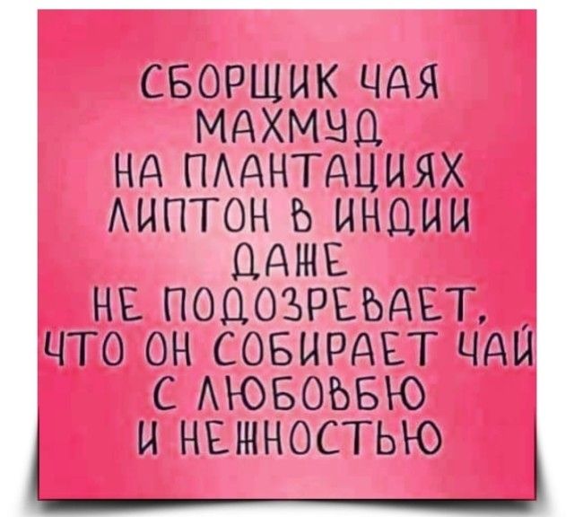 Сборщик чая махмуд на плантациях Липтон в Индии даже не подозревает, что он собирает чай с любовью и нежностью