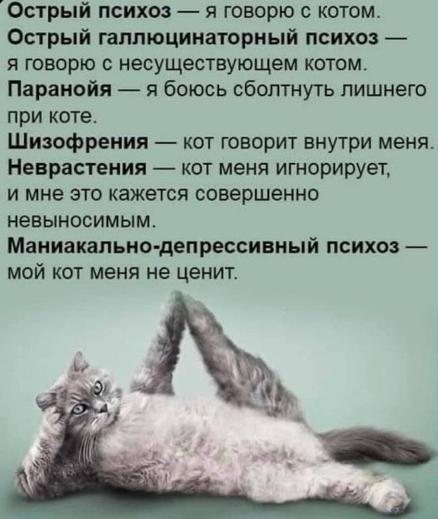 Острый психоз — я говорю с котом. 
Острый галлюцинаторный психоз — я говорю с несуществующим котом. 
Паранойя — я боюсь sbлотнуть лишенного при 
шизофрения — кот говорит внутри меня. 
Неврастения — кот меня игнорирует, и мне это кажется совершенно невыносимым. 
Маникально-депрессивный психоз — мой кот меня не ценит.