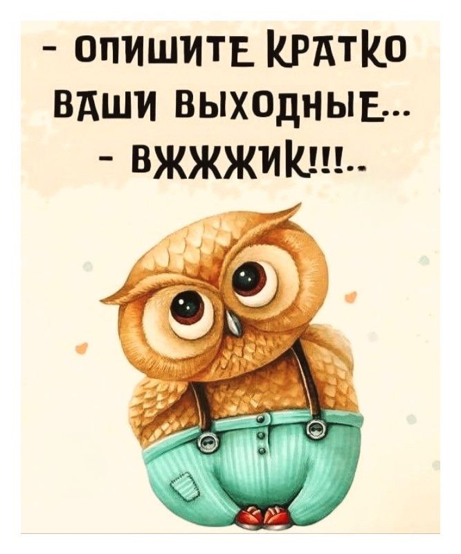 - ОПИШИТЕ КРАТКО ВАШИ ВЫХОДНЫЕ... - ВЖЖИК!!!!