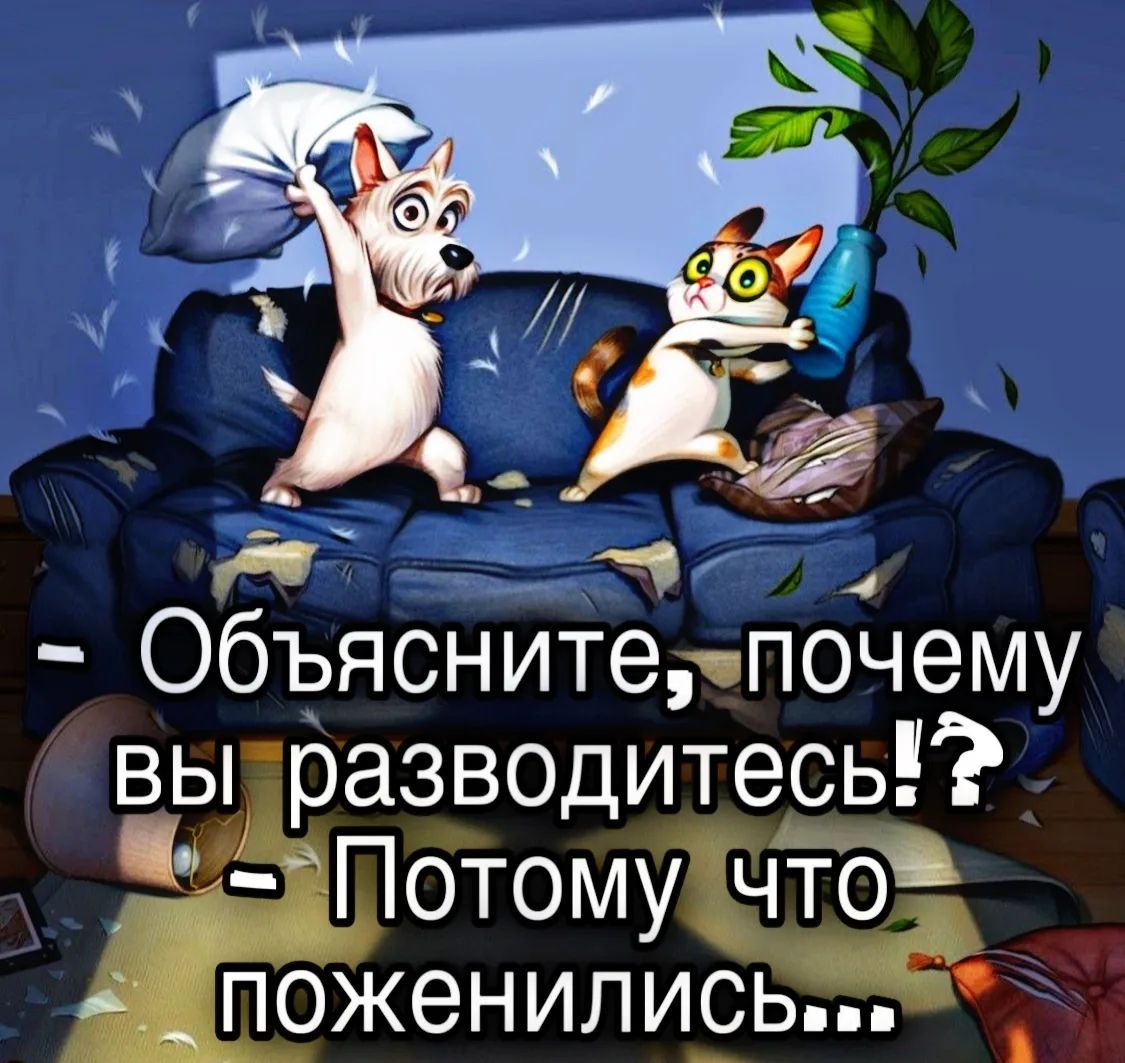 Объясните, почему вы разводитесь!? 
- Потому что поженились...