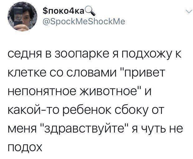 седня в зоопарке я подхожу к клетке со словами 